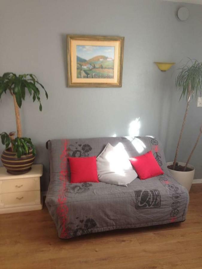 ביאריץ Petit Appartement Douillet Tres Bien Situe מראה חיצוני תמונה